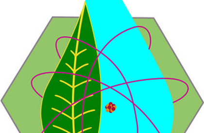 Nuclear Systems Design Project