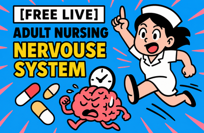 [Free Live] Adult Nursing (Nervous System) Summary for the Nurse Licensure Examination