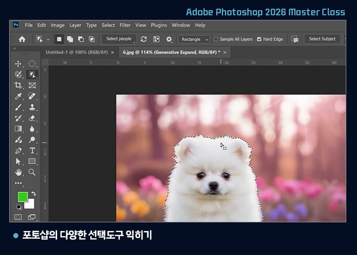 포토샵의 다양한 선택도구