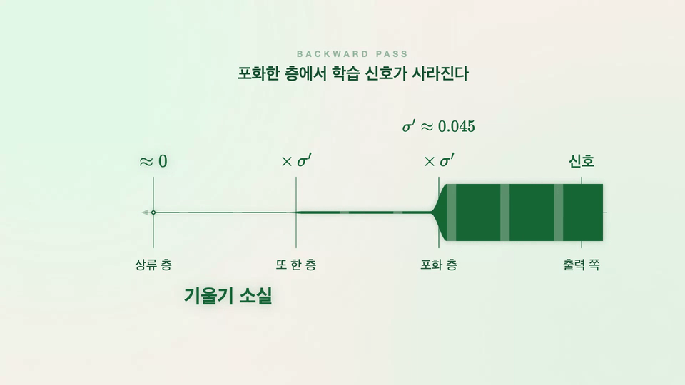 섹션 6: 지수·로그와 활성화 함수