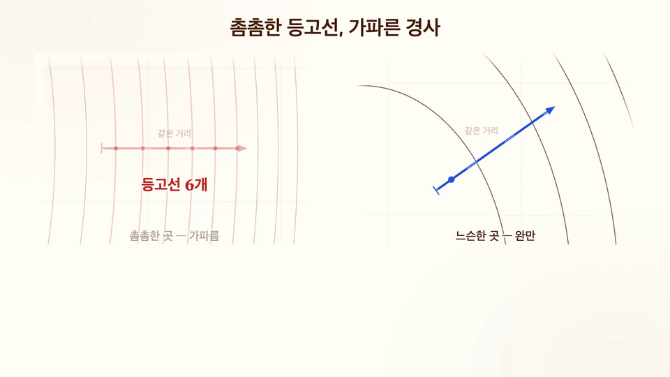 섹션 10: 여러 변수의 변화 이해하기