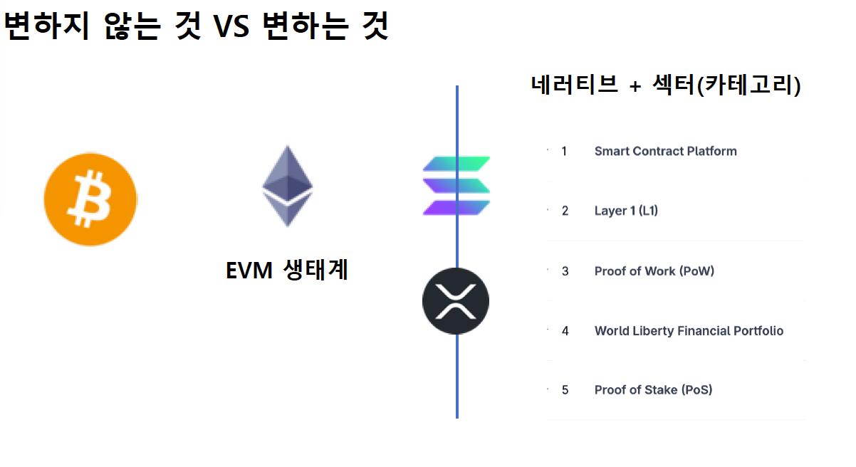 IMAGE 2026-03-19 21:15:35.jpg