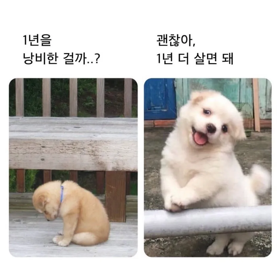 1년을 낭비한 걸까.jpg.webp