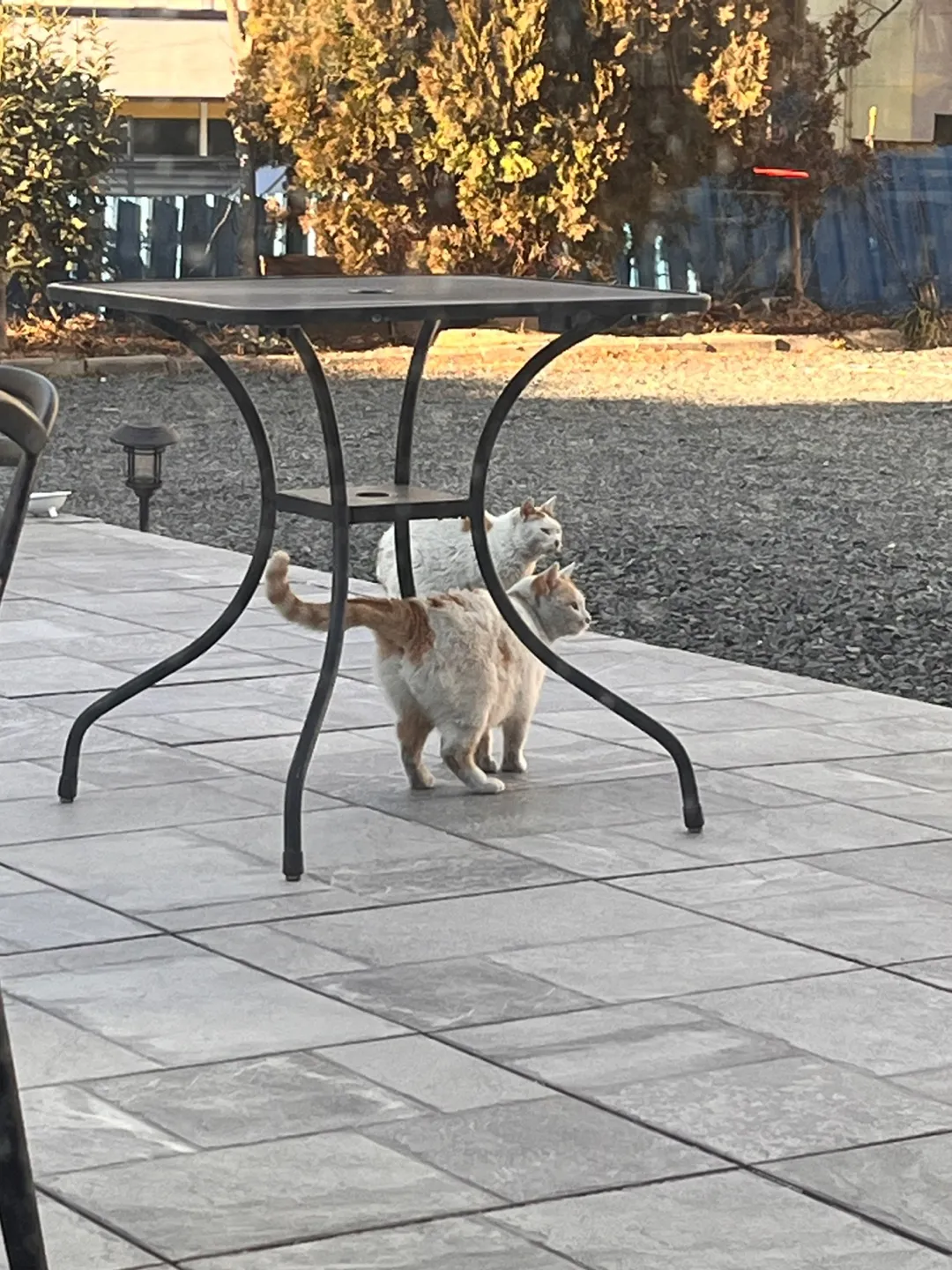 KakaoTalk_20250224_164134117.jpg.webp KakaoTalk_20250224_164134117.jpg.webp