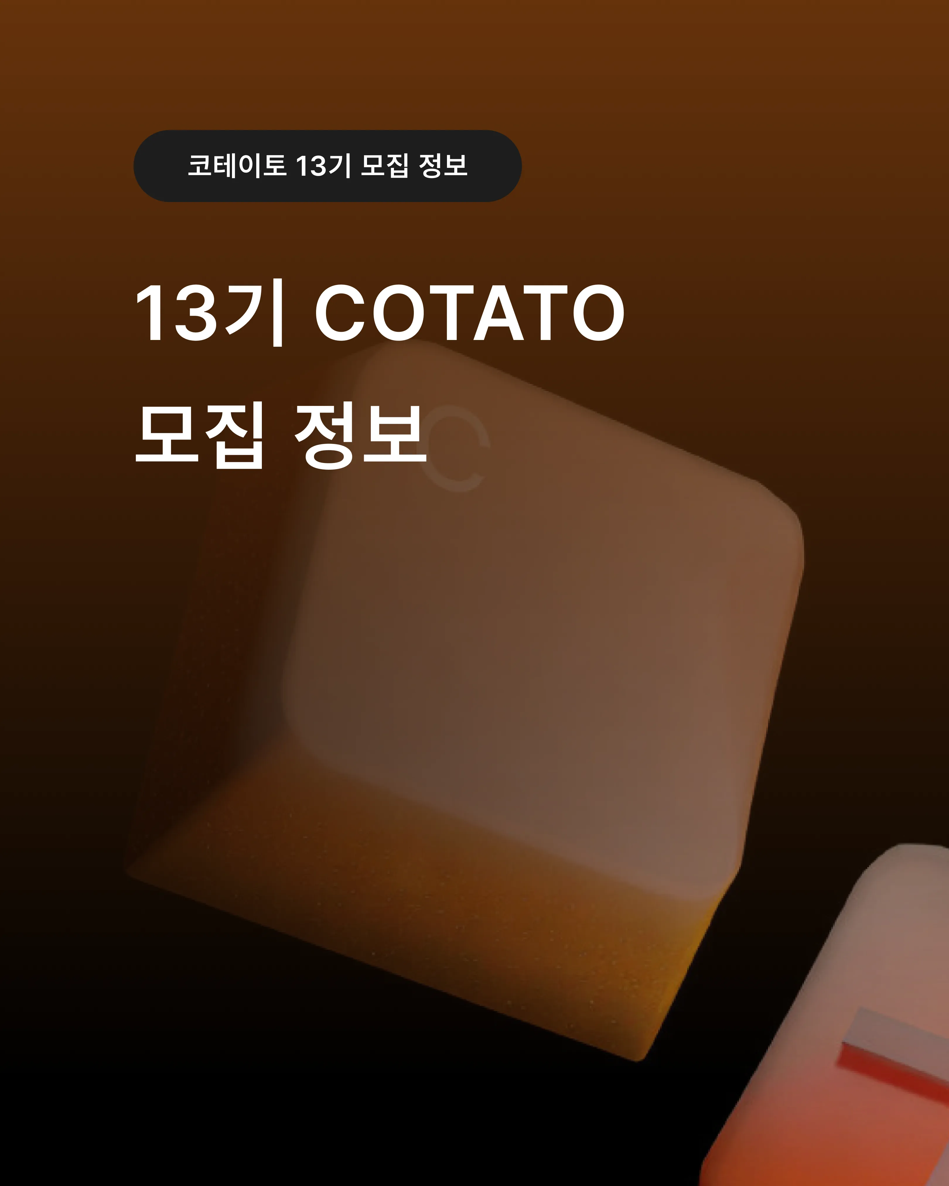 13기 모집정보_1.png.webp