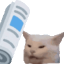 Newspaper_cat.gif