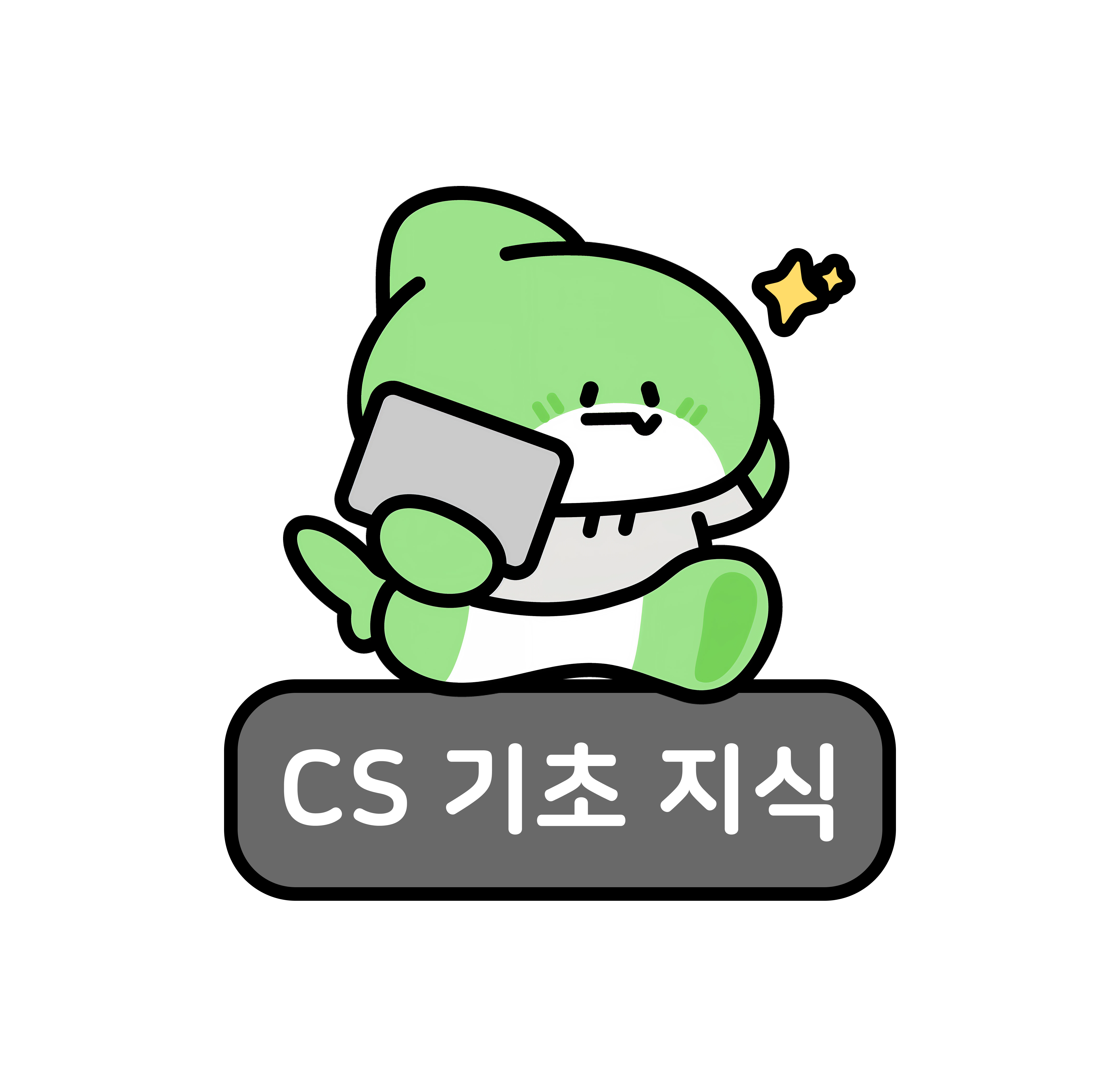 개발자