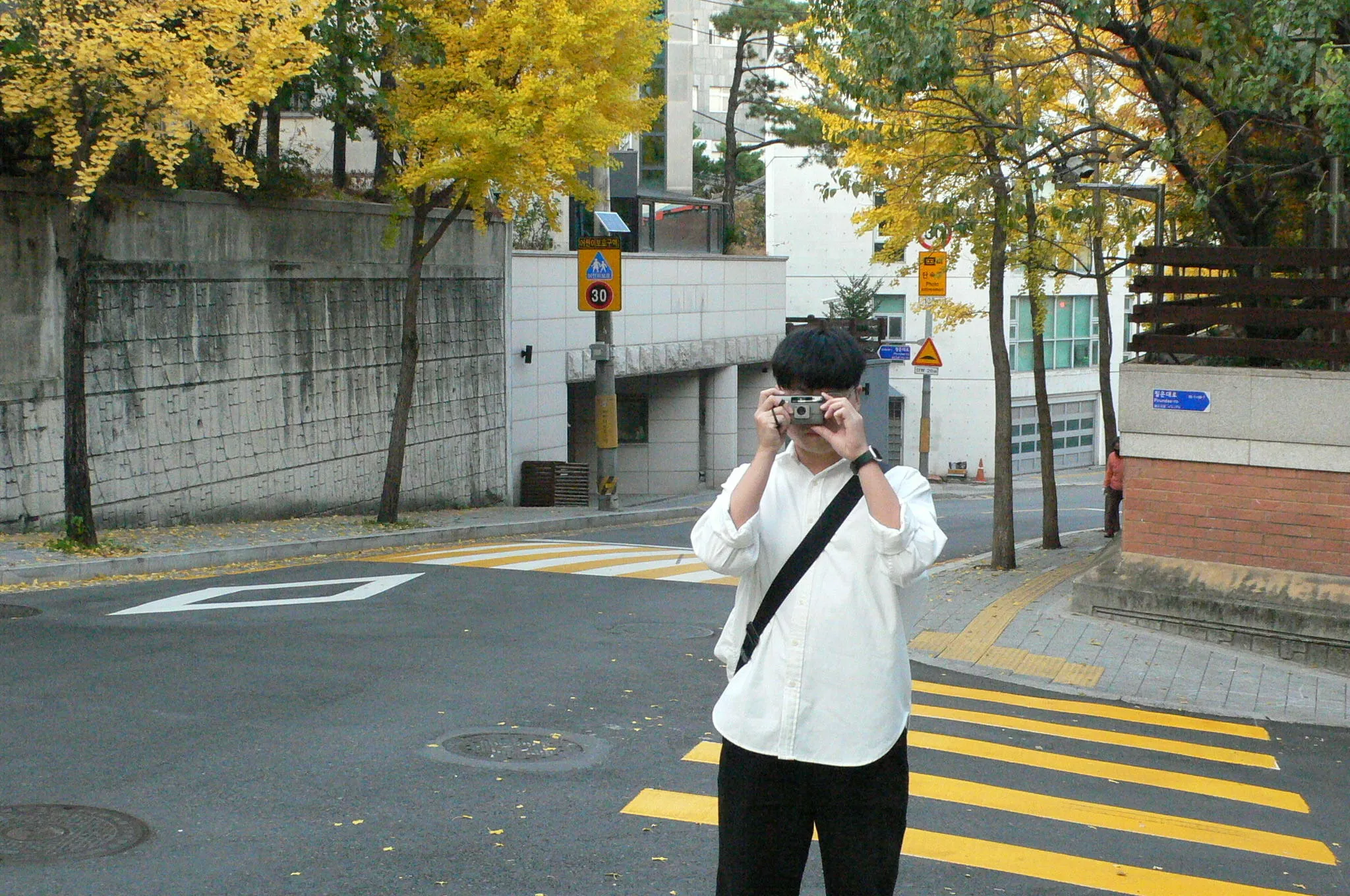약풍3.JPG