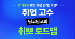 네카라쿠배+ 38곳 합격! 딩코딩코와 취업 뽀개기