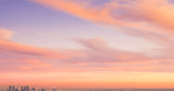 그래픽스 roadmap thumbnail