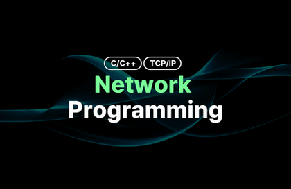 전문 네트워크 솔루션 개발자 되기 roadmap thumbnail