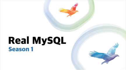 ⟪Real MySQL 시즌 1⟫ : 개발자를 위한 기초부터 고급까지 MySQL 활용 가이드 로드맵 썸네일