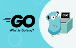 다양한 프로토콜을 통한 서버개발 방법 with golang