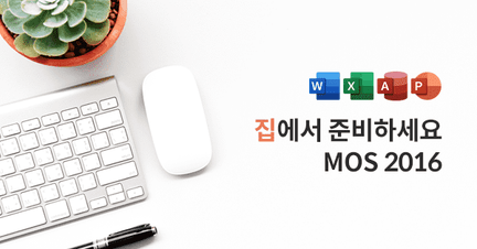 오피스 툴, MOS 2016 자격시험으로 한번에 마스터! 로드맵 썸네일