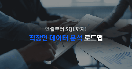엑셀부터 SQL까지! 데이터 기반으로 일하는 직장인이 되어보자 로드맵 썸네일