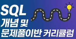 SQL 개념 및 문제풀이반 커리큘럼