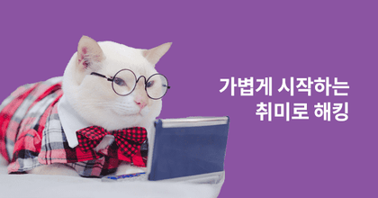 가볍게 시작하는 취미로 해킹 roadmap thumbnail