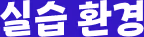 실습 환경