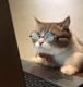 wpdud2003님의 프로필 이미지