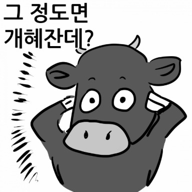 HY님의 프로필