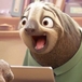 slothmaru님의 프로필 이미지