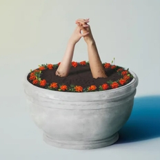 멘토 마리골드 프로필