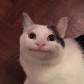 openmpy{{userName}}'s Profile