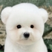 decideyoon님의 프로필 이미지