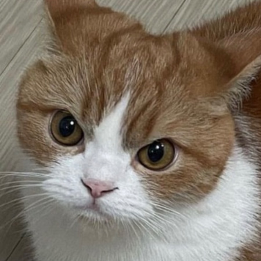 moongzzikr님의 프로필 이미지