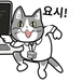 caesiumy님의 프로필 이미지