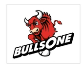 BULLS ONE님의 프로필