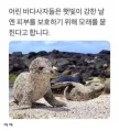 굿 왕님의 프로필