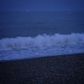 padocit님의 프로필