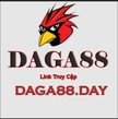 daga88day님의 프로필