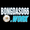 bongdaso66work님의 프로필