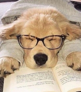 grang{{userName}}'s Profile