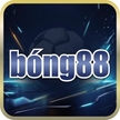 Bong88님의 프로필