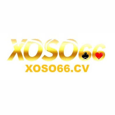 xoso66 cv님의 프로필