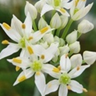 tt님의 프로필 이미지