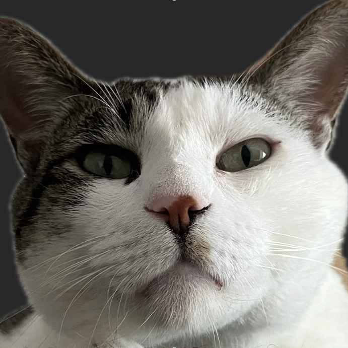 bongu님의 프로필 이미지