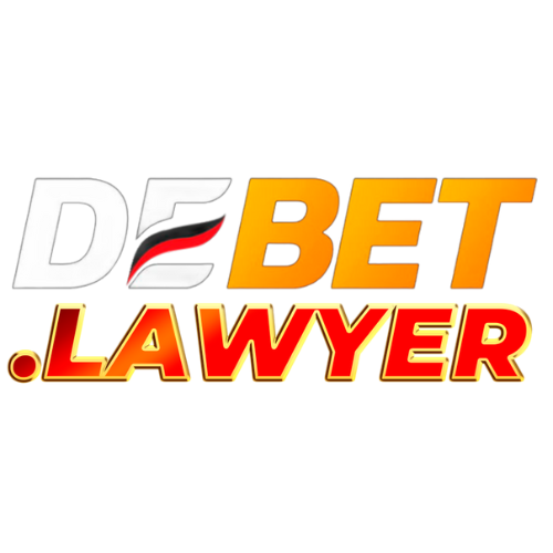 debet lawyer님의 프로필