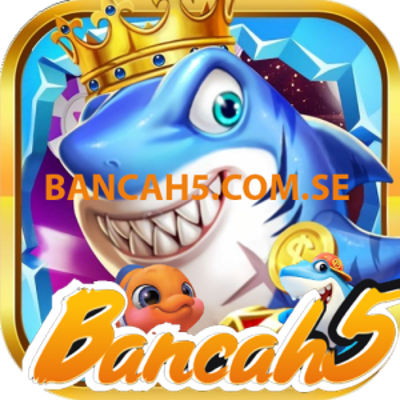 bancah5님의 프로필