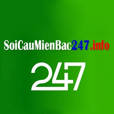 soicaumienbac247님의 프로필