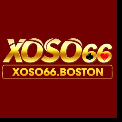 XOSO66님의 프로필