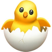 신디님의 프로필