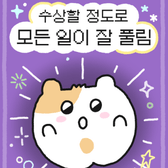 네시님의 프로필