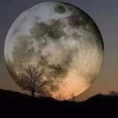 Veri-Fun님의 프로필