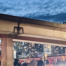 멘토 뮤지 프로필