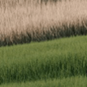 지식공유자 이미지